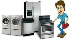 Best Buy Appliance Repair Details